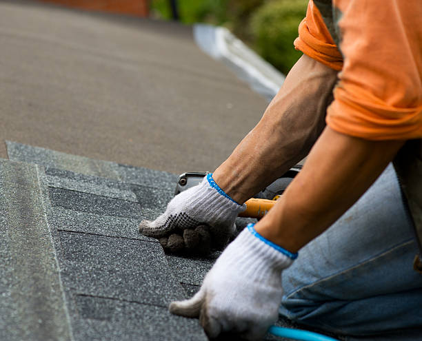Best Metal Roofing Contractor  in Monona, WI